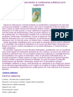 Cauzele Subtile Ale Bolilor Si Vindecarea Sufletului Prin Rugaciune PDF