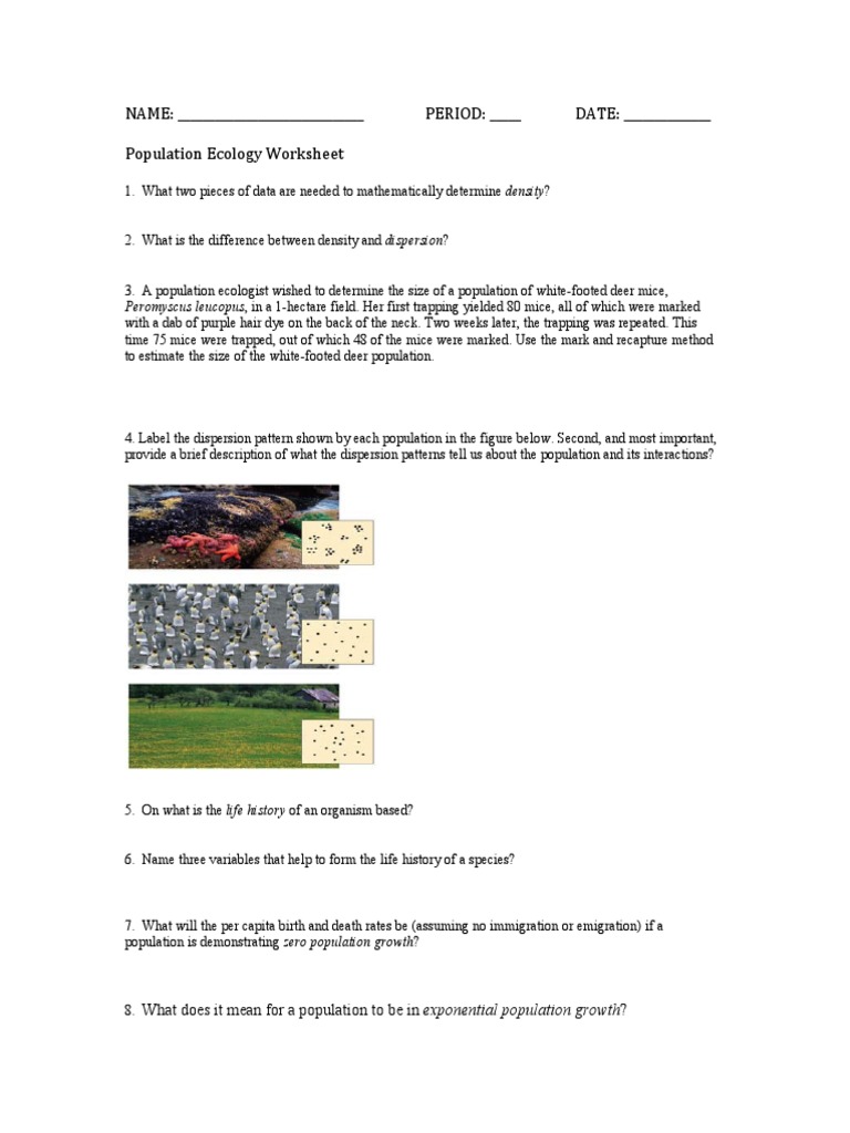 worksheet Population Ecology Worksheet ecology population worksheet growth ecology