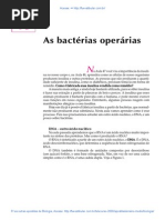49 as Bacterias Operarias