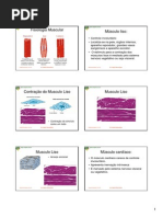 fisiologiamuscular6porfolha