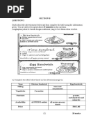 Contoh Karangan Bahasa Inggeris Mudah  Leopard