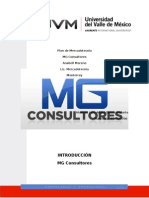 Plan de Mercadotecnia - MG Consultores