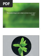 Download Ppt on Moringa by shrikant SN27653120 doc pdf