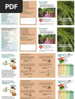 Download Moringa Brochure 2up a4 by shrikant SN27653268 doc pdf