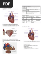 Download Cardiovascular System by angel_maui SN27653358 doc pdf