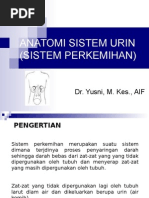 Download Anatomi  Fisiologi Sistem Urinaria PPT by Wonder Boy Mardha SN276537715 doc pdf
