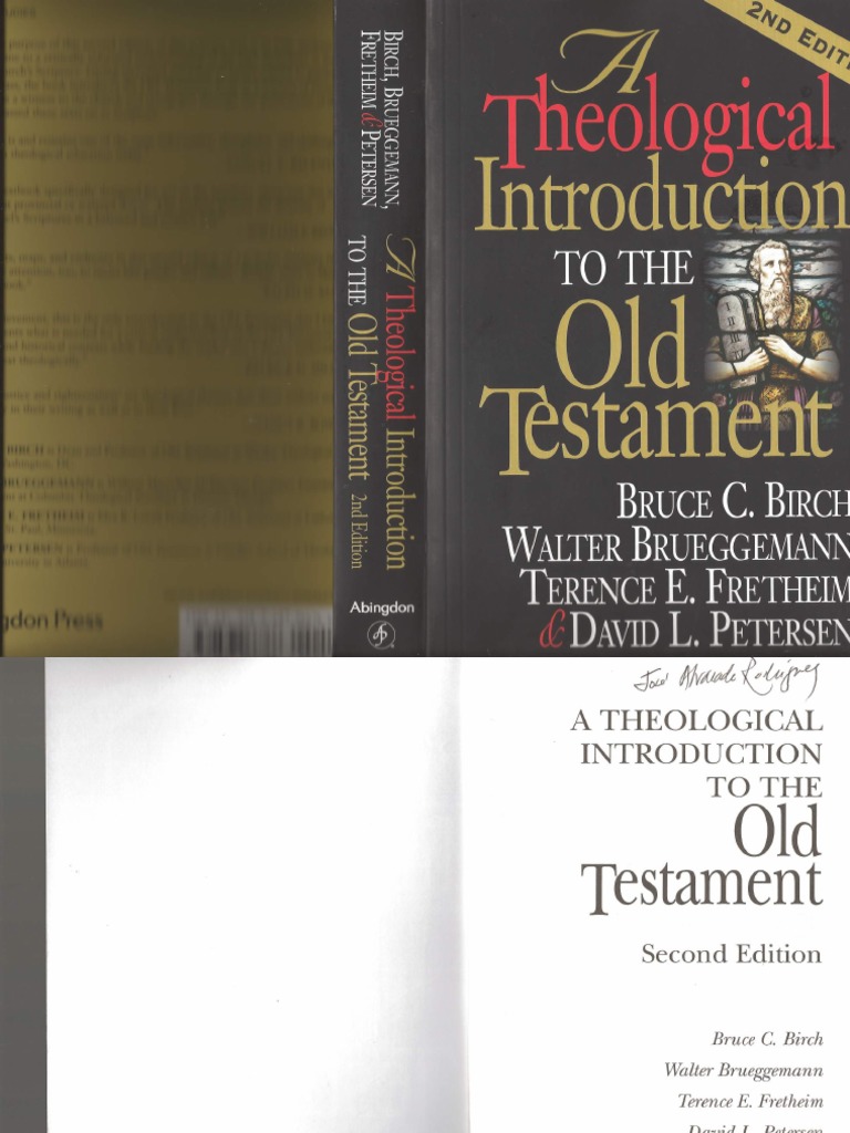 A Theological Introduction To The Old Testament 1 | PDF | Books