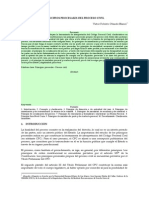 Principios Procesales Del Proceso Civil PDF