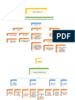 Mapa Conceptual