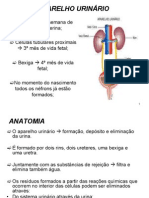 Resumo Prova