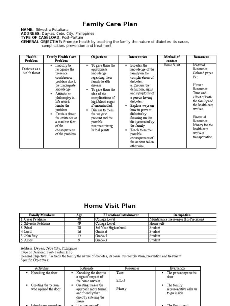Home Visit Plan and Family Care Plan PDF Diabetes Health Care
