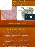 Anatomia y Morfologia Vegetal Clase I