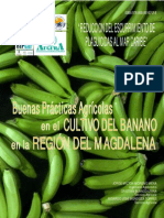 Buenas Practicas Agricolas.pdf