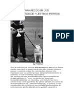 Razones para Recoger Los Excrementos de Nuestros Perros