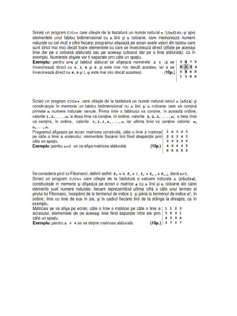 Exercitii Matrice Informatica | PDF
