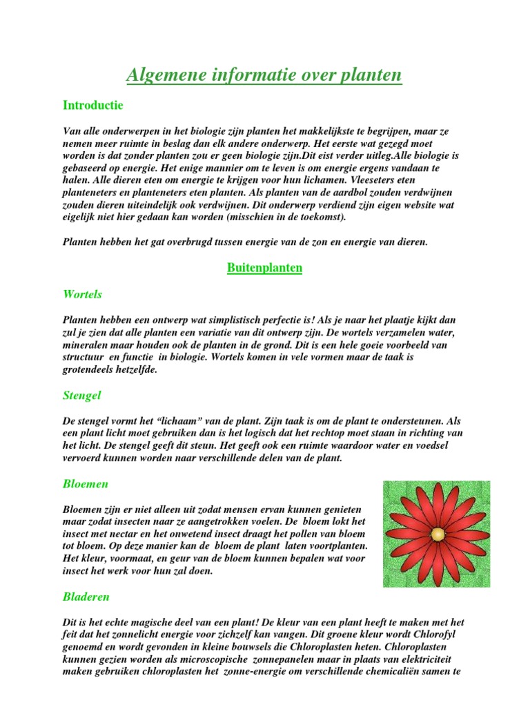 koolhydraat mager Celsius Biologie - Planten | PDF
