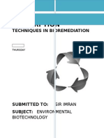 Bioaccumulation and Biosorption Techniques for Bioremediation