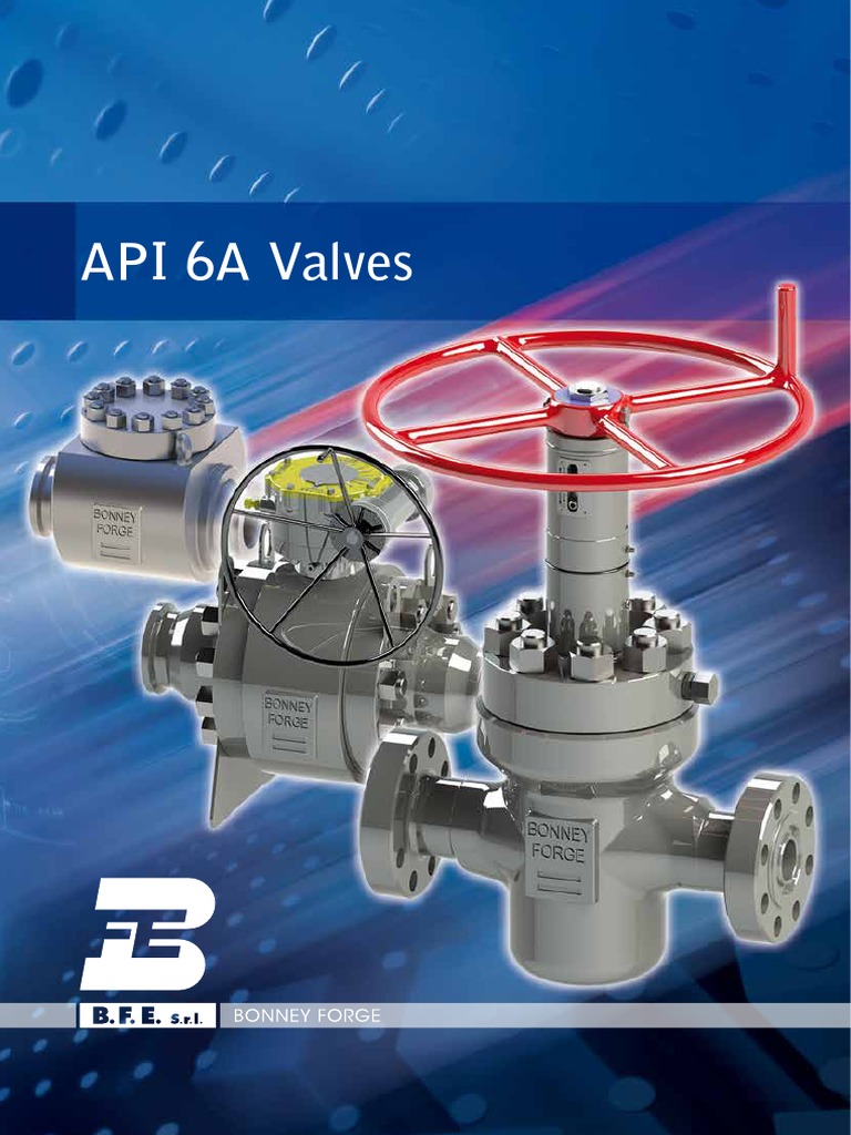 API 6A Valves | Download Free PDF | Valve | Nondestructive Testing