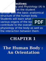 Introduction of Anatomy