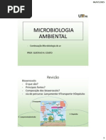 Aula 12_Microbiologia Do Ar_Parte2