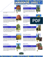 Trees Catalog