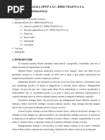 Download Analiza Swot a sc Bere Craiova sa by nikoss1981 SN27669121 doc pdf