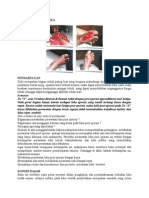Download SOP Perawatan Luka by DayaxsGhost Junior SN276697896 doc pdf