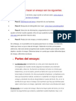 Los pasos para hacer un ensayo docx