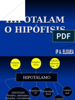 hipotalamo.hipofisis