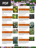 Perennials Catalog