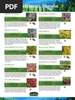 Download Shrubs Catalog by ketelsen SN27671478 doc pdf