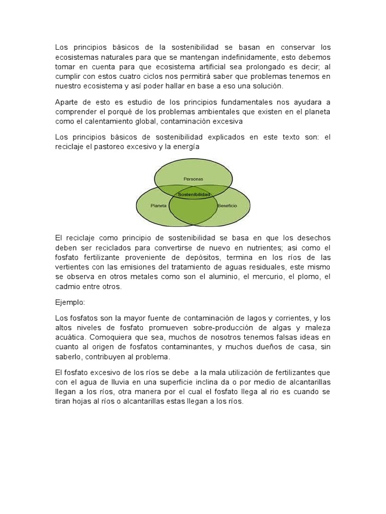 Los Principios Básicos de La Sostenibilidad Química