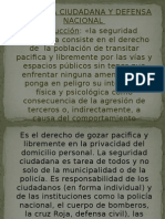 La Seguridad Ciudadana