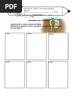 Atividade de Ciências- Registro Do Crescimento Do Feijão