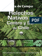 Helechos Nativos de Centro y Sur de Chile