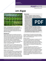 Postpn 384 Biofuels From Algae