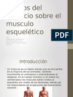 Efectos Del Ejercicio Sobre El Musculo Esquelético