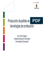 Producción de pellet en Chile y tecnologías de combustión