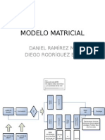 Analisis Matricial2