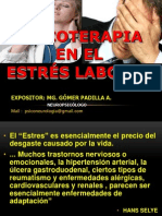 Psicoterapia en El Estrés Laboral