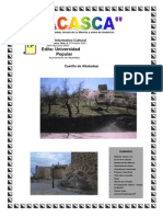 Acasca 14 PDF