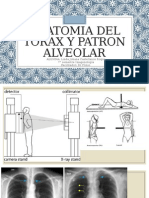 Anatomia Del Torax y Patron Alveolar 1