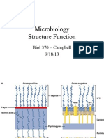 Microbiology Structure Function: Biol 370 - Campbell 9/18/13