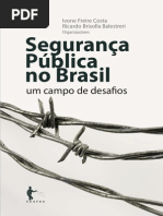 Seguranca publica no brasil.pdf