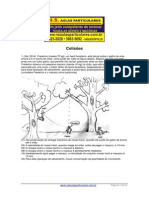 Quantidade de Movimento Colisoes