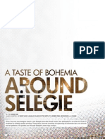 A taste of Bohemia - Around Selegie