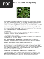 Download Manfaat Tanaman Urang Aring by Tri Firmansyah SN276891255 doc pdf