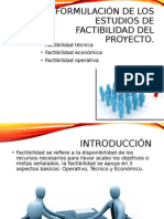 1.4 Formulación de Los Estudios de Factibilidad Del Proyecto