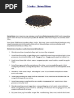 Download Manfaat Jinten hitam by Tri Firmansyah SN276895032 doc pdf