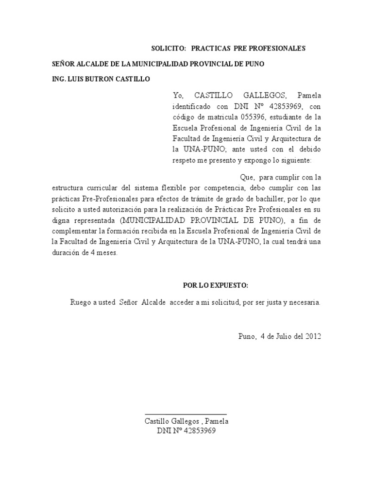 Solicitud Municipalidad | PDF